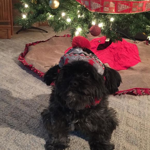 Meet your Posher, Kelly - Picture 1 of 1